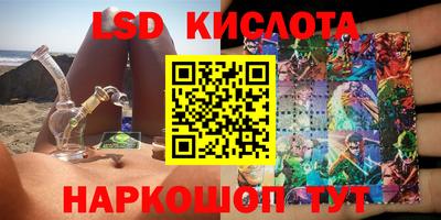 стаф Заводоуковск