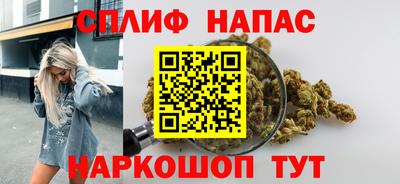 стаф Заводоуковск