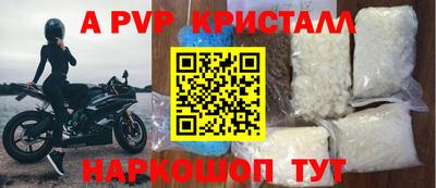 стаф Заводоуковск